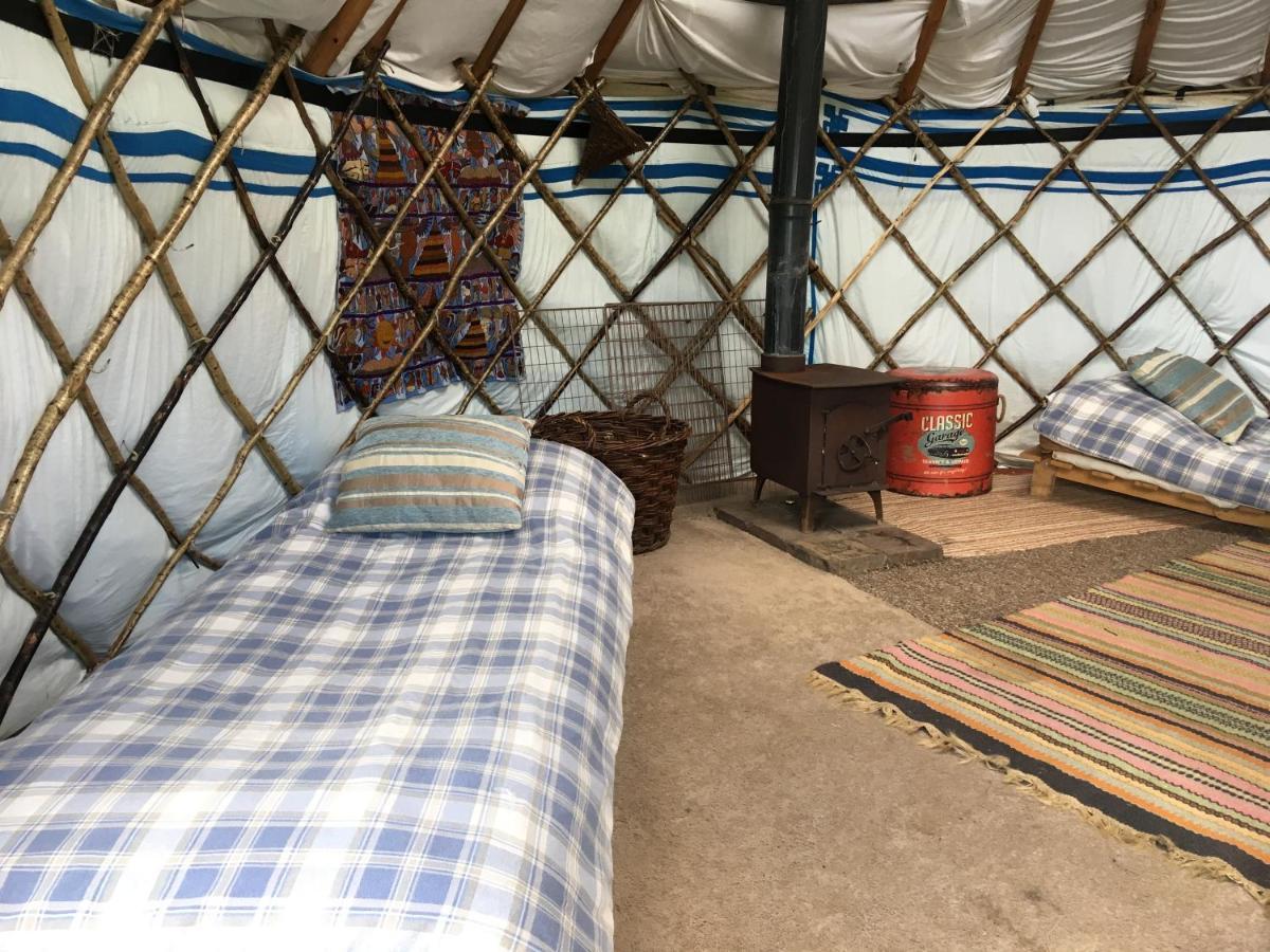 Inch Hideaway Eco Camping Whitegate  المظهر الخارجي الصورة