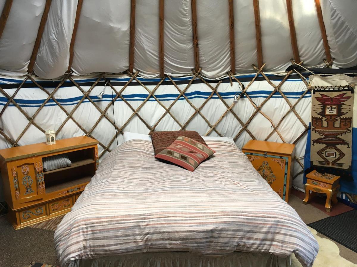 Inch Hideaway Eco Camping Whitegate  المظهر الخارجي الصورة