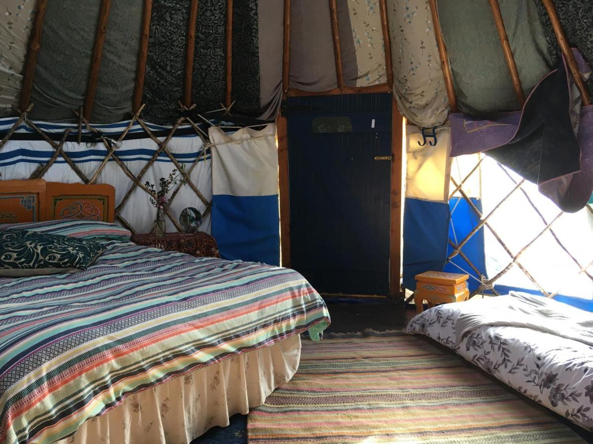 Inch Hideaway Eco Camping Whitegate  المظهر الخارجي الصورة