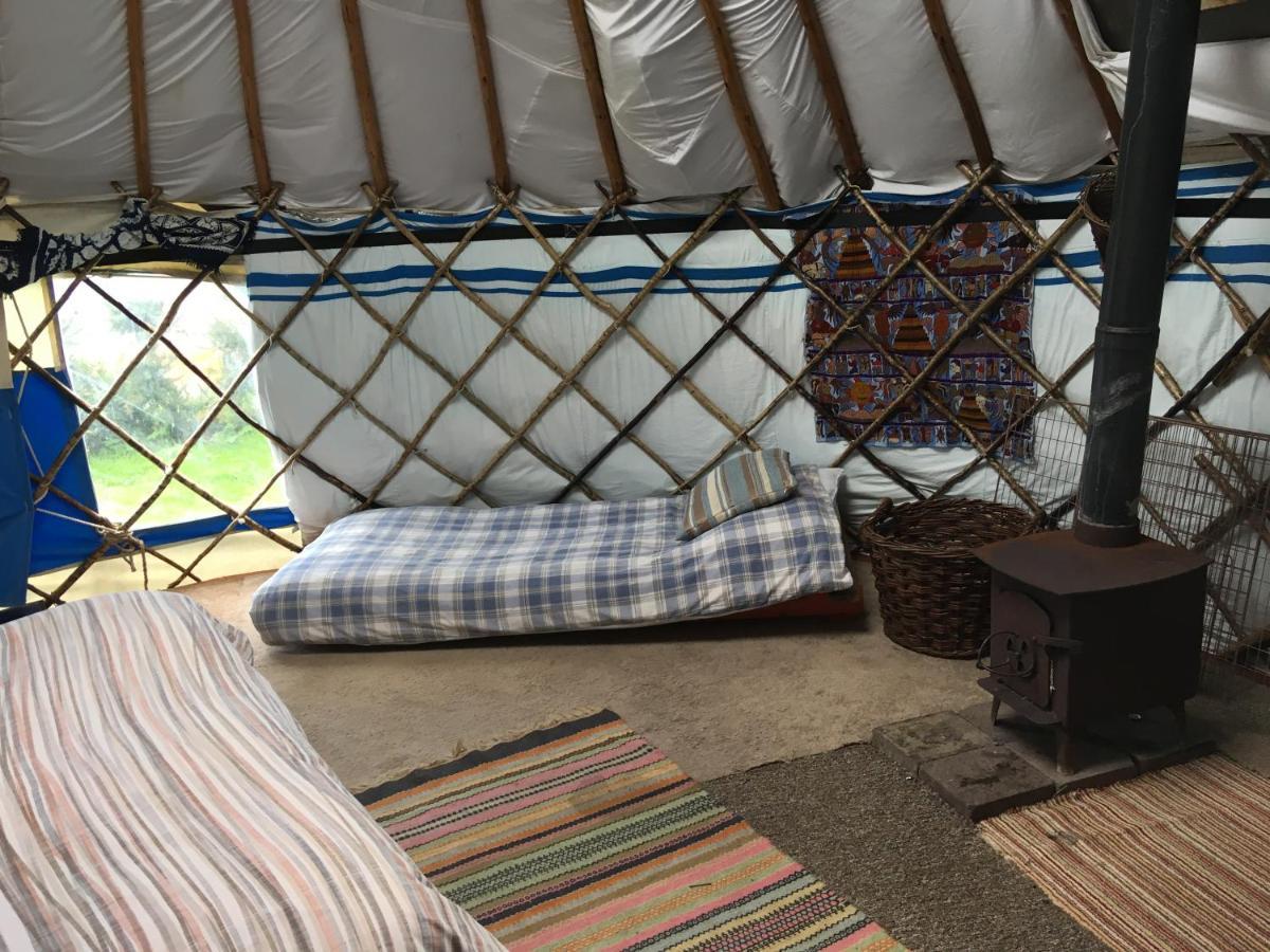 Inch Hideaway Eco Camping Whitegate  المظهر الخارجي الصورة