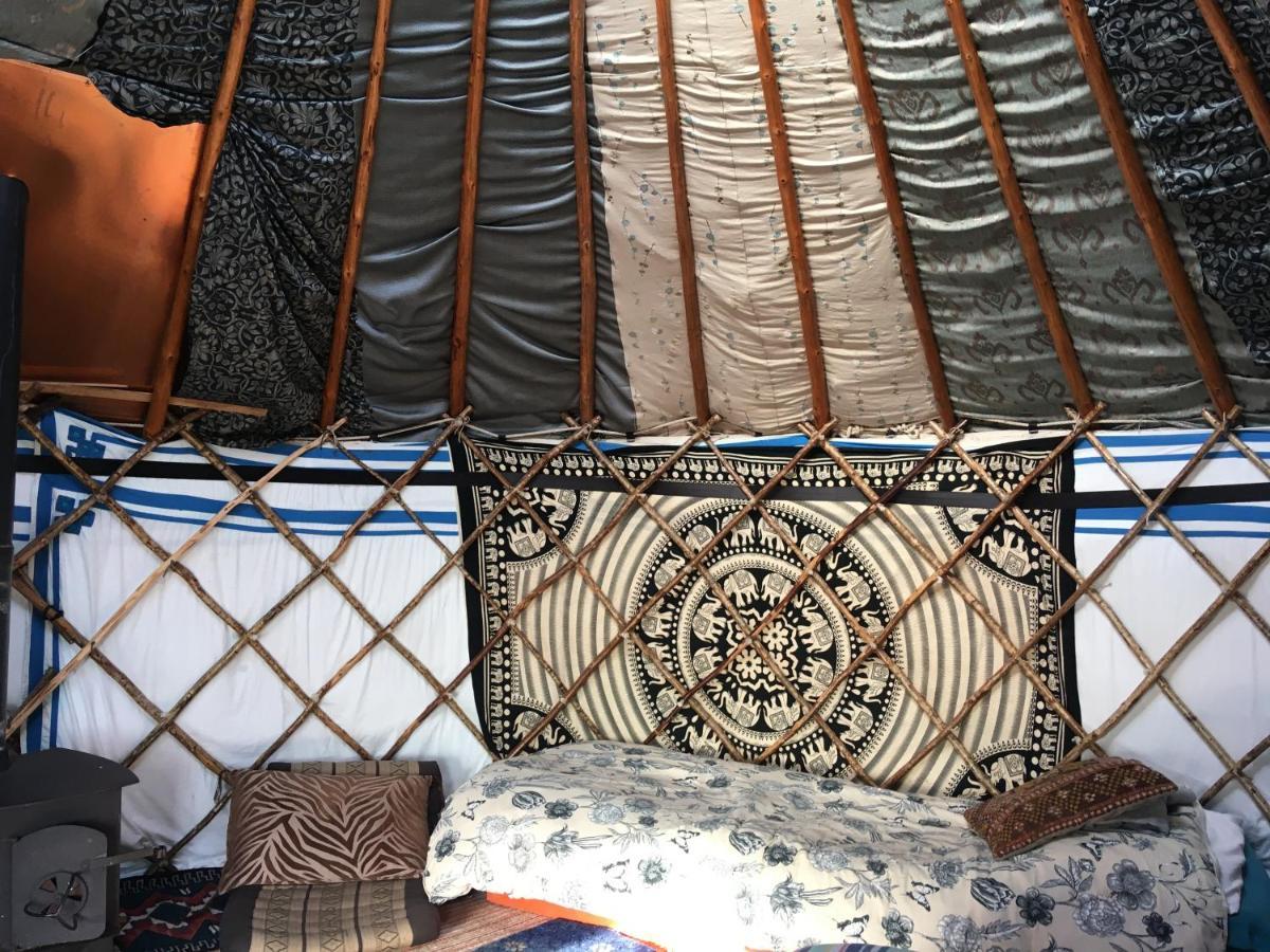 Inch Hideaway Eco Camping Whitegate  المظهر الخارجي الصورة