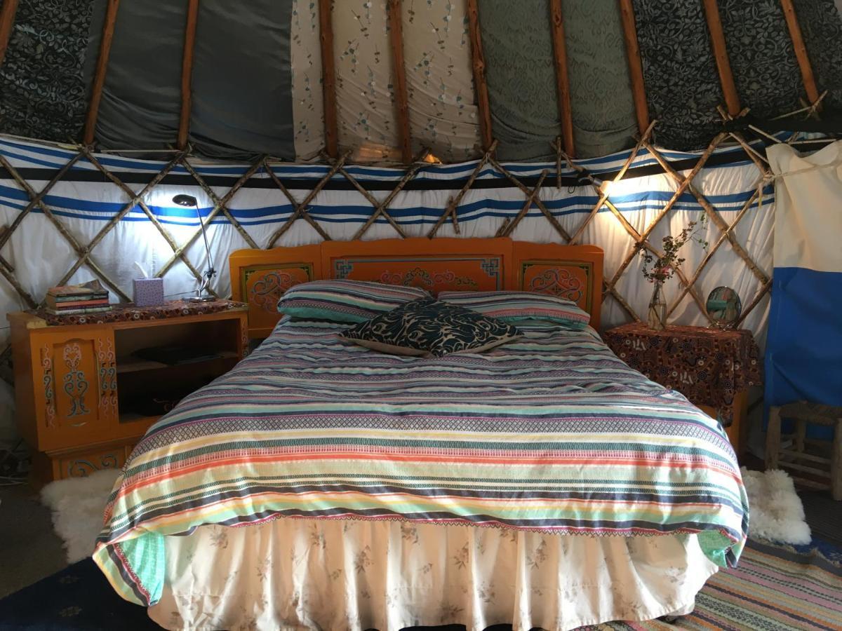 فندق Inch Hideaway Eco Camping Whitegate  المظهر الخارجي الصورة