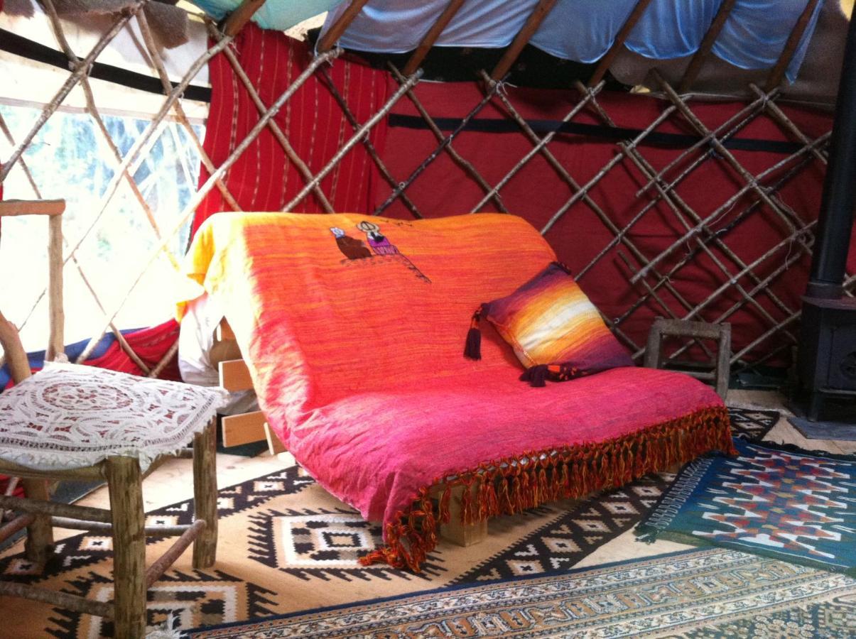 Inch Hideaway Eco Camping Whitegate  المظهر الخارجي الصورة