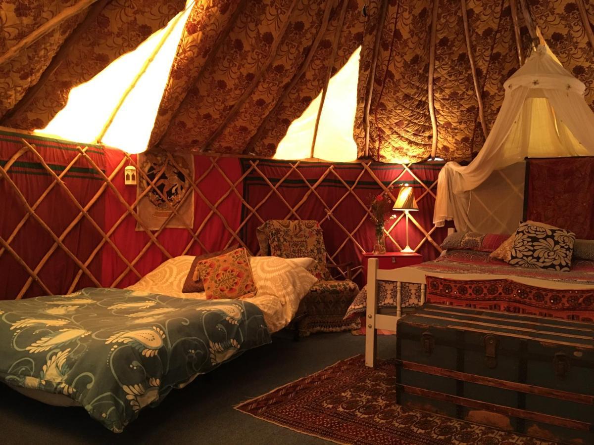 Inch Hideaway Eco Camping Whitegate  المظهر الخارجي الصورة