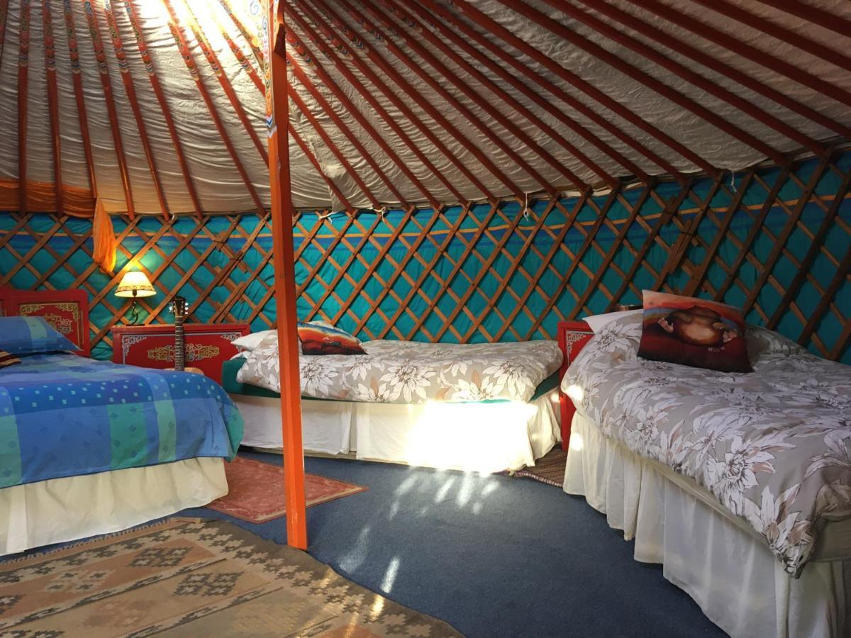 Inch Hideaway Eco Camping Whitegate  المظهر الخارجي الصورة